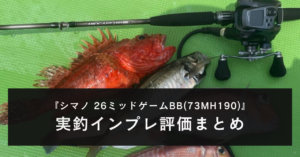 【実釣インプレ！】シマノ 26ミッドゲームBB(73MH190)を使ってみた感想