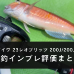 【実釣インプレ！】ダイワ 23レオブリッツ 200J/200JLを使ってみた感想