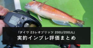 【実釣インプレ！】ダイワ 23レオブリッツ 200J/200JLを使ってみた感想
