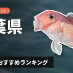【2026年】千葉県のアマダイ釣り用ロッドの選び方＆おすすめランキング【外房・内房エリア】