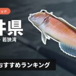 【2026年】福井県のアマダイ釣り用ロッドの選び方＆おすすめランキング【小浜・敦賀・若狭湾エリア】