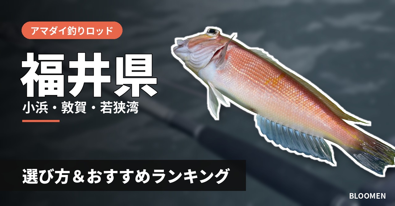 【2026年】福井県のアマダイ釣り用ロッドの選び方&おすすめランキング【小浜・敦賀・若狭湾エリア】