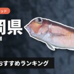 【2026年】福岡県のアマダイ釣り用ロッドの選び方＆おすすめランキング【響灘・玄界灘エリア】
