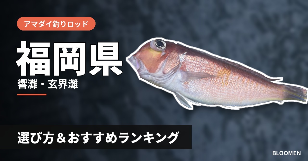 【2026年】福岡県のアマダイ釣り用ロッドの選び方＆おすすめランキング【響灘・玄界灘エリア】