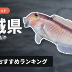 【2026年】茨城県のアマダイ釣り用ロッドの選び方＆おすすめランキング【日立沖・鹿島沖エリア】