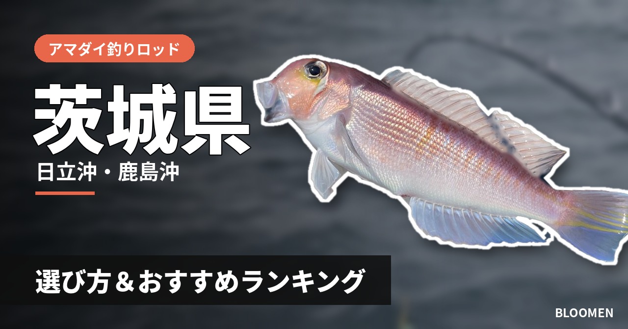 【2026年】茨城県のアマダイ釣り用ロッドの選び方＆おすすめランキング【日立沖・鹿島沖エリア】