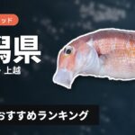 【2026年】新潟県のアマダイ釣り用ロッドの選び方＆おすすめランキング【寺泊・能生・上越エリア】