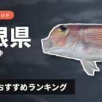 【2026年】島根県のアマダイ釣り用ロッドの選び方＆おすすめランキング【浜田・益田沖エリア】