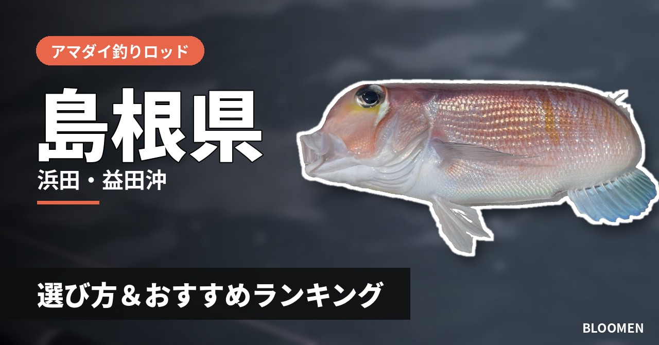 【2026年】島根県のアマダイ釣り用ロッドの選び方＆おすすめランキング【浜田・益田沖エリア】
