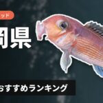 【2026年】静岡県のアマダイ釣り用ロッドの選び方＆おすすめランキング【駿河湾エリア】