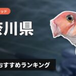 【2026年】神奈川県のアマダイ釣り用ロッドの選び方＆おすすめランキング【相模湾エリア】