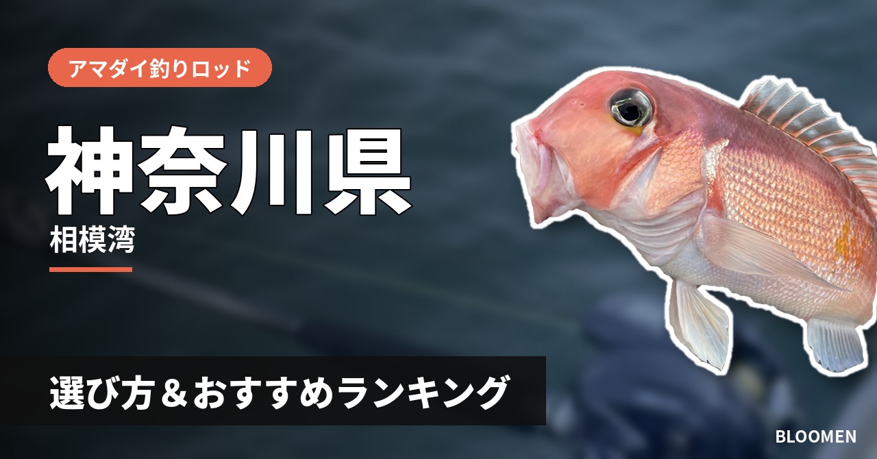 【2026年】神奈川県のアマダイ釣り用ロッドの選び方＆おすすめランキング【相模湾エリア】
