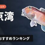 【2026年】東京湾のアマダイ釣り用ロッドの選び方＆おすすめランキング