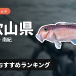 【2026年】和歌山県のアマダイ釣り用ロッドの選び方＆おすすめランキング【加太・紀中・南紀エリア】