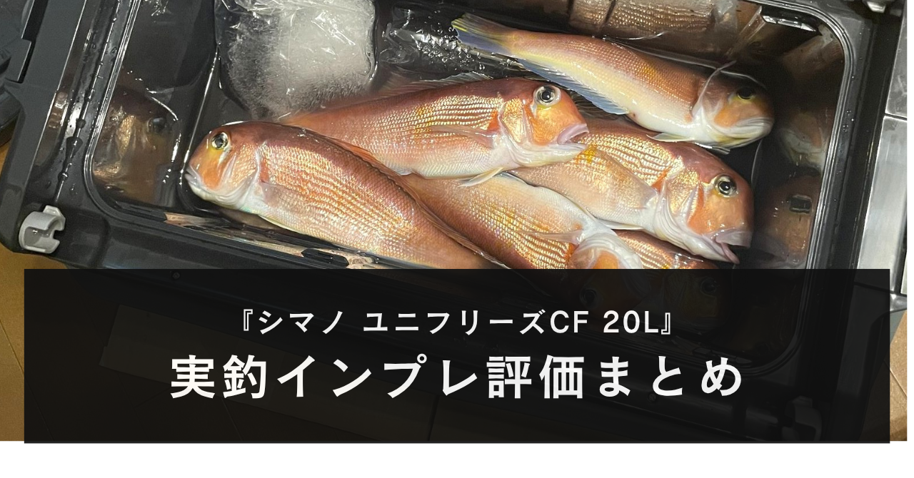 【実釣インプレ!】シマノ ユニフリーズ20L(CF)|猛暑の真夏日アマダイ釣行