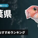 【2026年】千葉県のアマダイ釣り 電動リールの選び方＆おすすめランキング【外房・内房エリア】