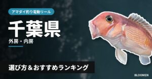 【2026年】千葉県のアマダイ釣り 電動リールの選び方＆おすすめランキング【外房・内房エリア】