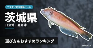 【2026年】茨城県のアマダイ釣り 電動リールの選び方＆おすすめランキング【日立沖・鹿島沖エリア】