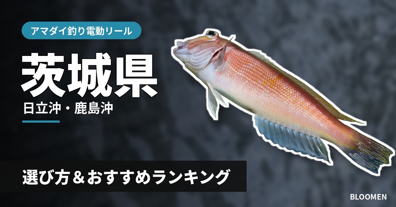 【2026年】茨城県のアマダイ釣り 電動リールの選び方＆おすすめランキング【日立沖・鹿島沖エリア】