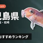 【2026年】鹿児島県のアマダイ釣り用ロッドの選び方＆おすすめランキング【錦江湾・指宿・枕崎エリア】