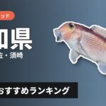 【2026年】高知県のアマダイ釣り用ロッドの選び方＆おすすめランキング【土佐湾・宇佐・須崎エリア】