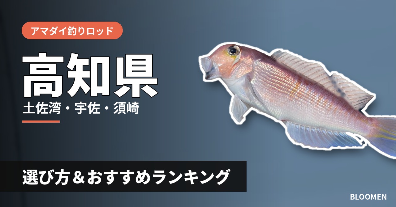 【2026年】高知県のアマダイ釣り用ロッドの選び方＆おすすめランキング【土佐湾・宇佐・須崎エリア】