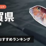 【2026年】佐賀県のアマダイ釣り用ロッドの選び方＆おすすめランキング【唐津・玄界灘エリア】
