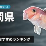 【2026年】静岡県のアマダイ釣り 電動リールの選び方＆おすすめランキング【駿河湾エリア】