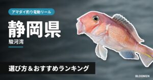 【2026年】静岡県のアマダイ釣り 電動リールの選び方＆おすすめランキング【駿河湾エリア】