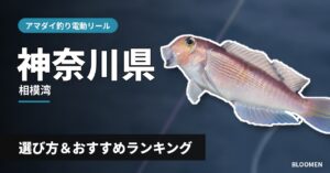 【2026年】神奈川県のアマダイ釣り 電動リールの選び方＆おすすめランキング【相模湾エリア】