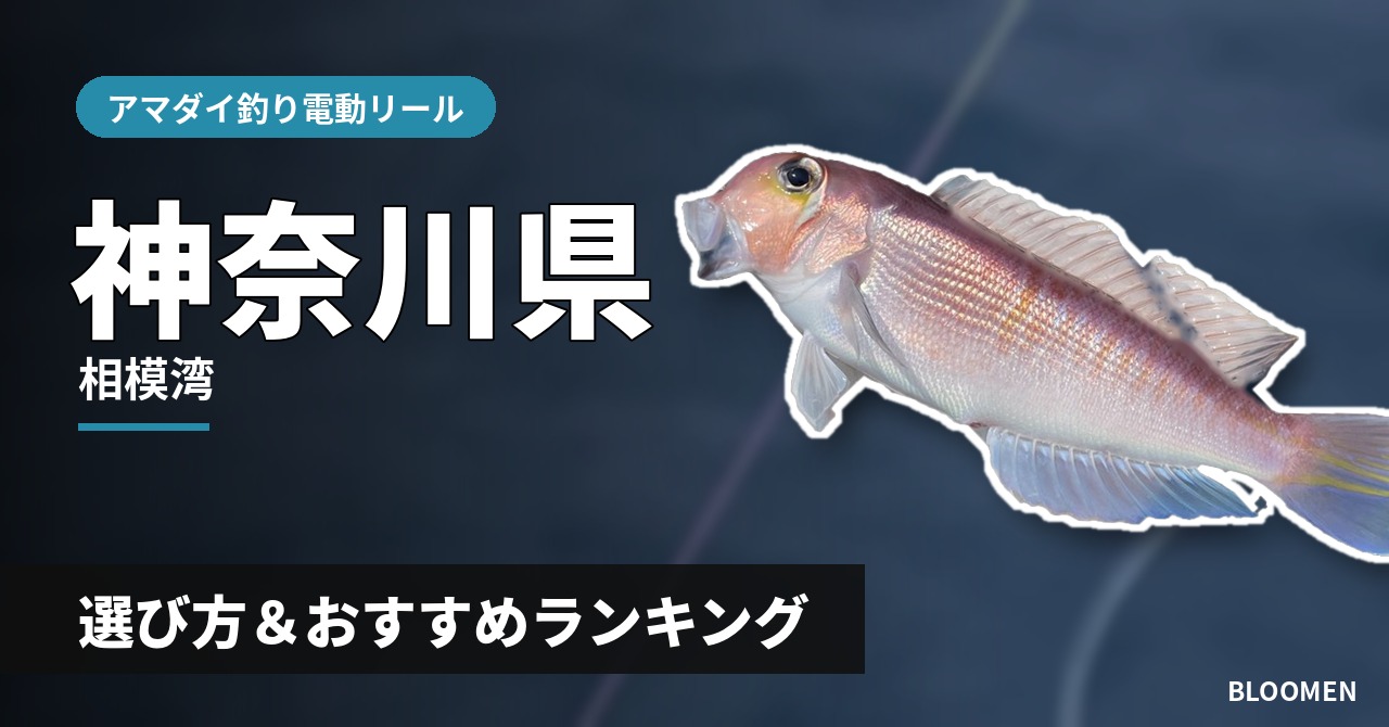 【2026年】神奈川県のアマダイ釣り 電動リールの選び方＆おすすめランキング【相模湾エリア】