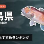 【2026年】徳島県のアマダイ釣り用ロッドの選び方＆おすすめランキング【紀伊水道・阿南沖エリア】
