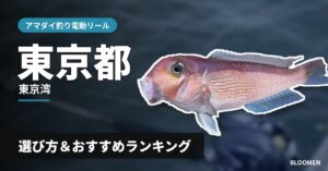 【2026年】東京湾のアマダイ釣り 電動リールの選び方＆おすすめランキング