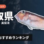 【2026年】鳥取県のアマダイ釣り用ロッドの選び方＆おすすめランキング【岩美・境港・美保湾エリア】