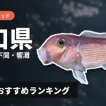 【2026年】山口県のアマダイ釣り用ロッドの選び方＆おすすめランキング【萩・見島・下関・響灘エリア】