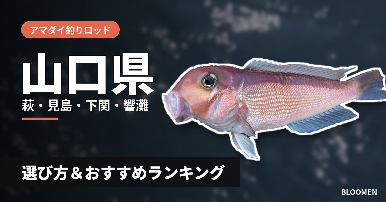 【2026年】山口県のアマダイ釣り用ロッドの選び方＆おすすめランキング【萩・見島・下関・響灘エリア】